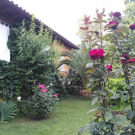 El Retiro De San Pedro * Arenas de San Pedro